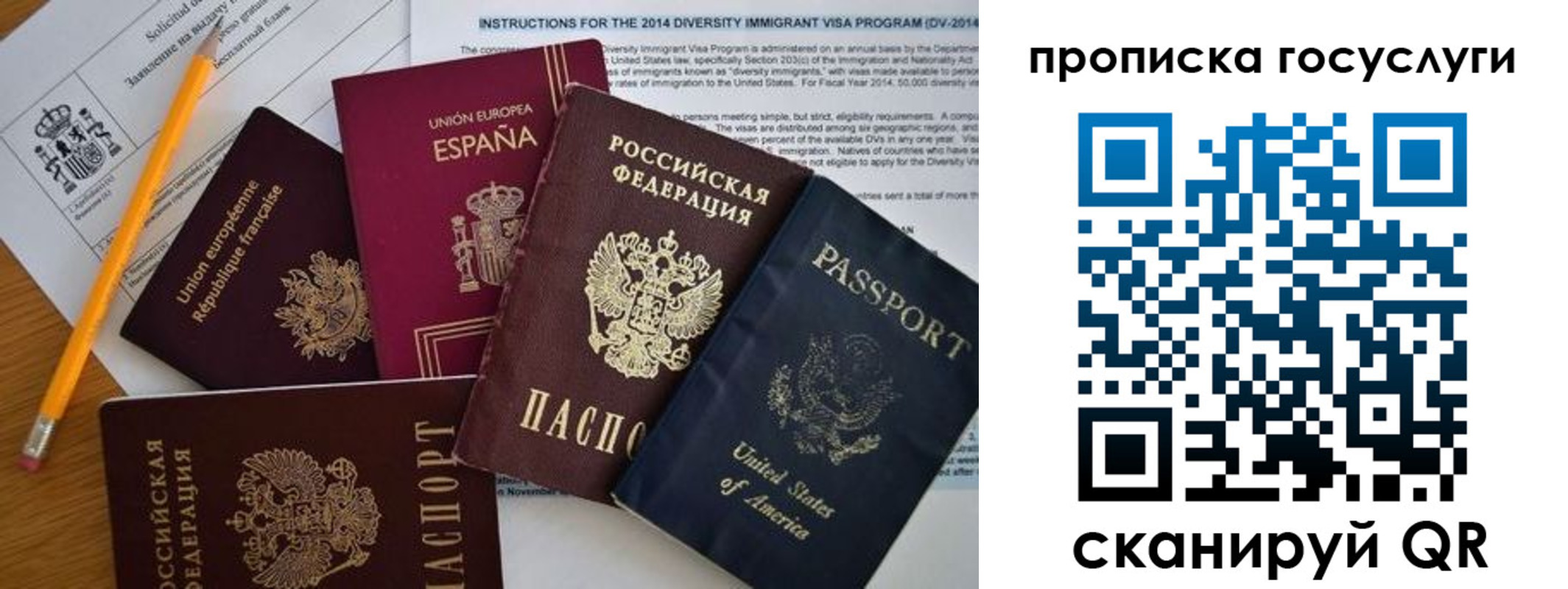 прописка гарантия в Чечне